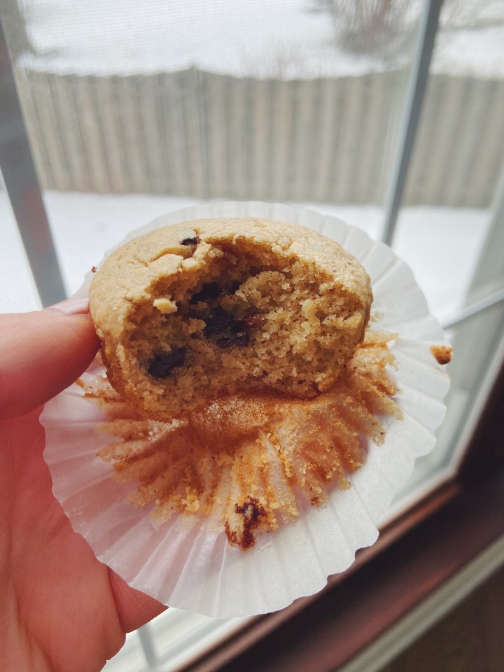 Using My FAV Pancake Mix For&nbsp;Muffins!